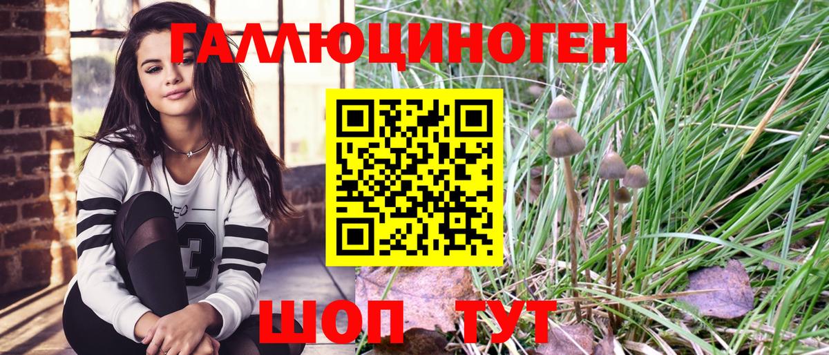 Псилоцибиновые грибы мухоморы  Вход с VPN  Псилоцибиновые грибы Cubensis  Котлас 